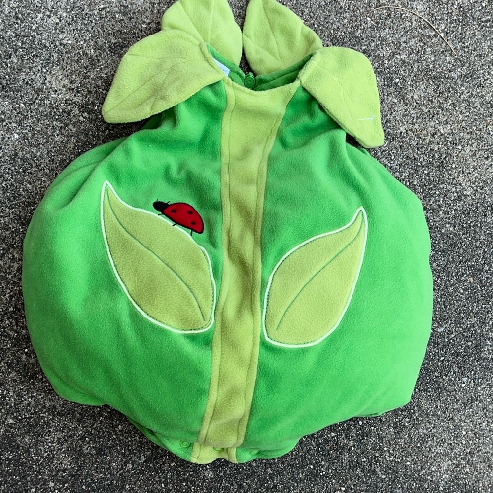 Plant with leaves and ladybug costume